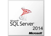 OEM Asli Microsoft SQL Server Key 2014 Standar Bahasa Inggris OPK 64bit DVD Online Activation